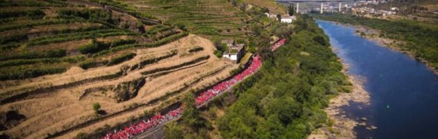 “A mais bela corrida do mundo” chamou milhares ao Douro