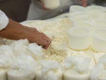 Queijo Serra da Estrela: três ingredientes, uma tradição