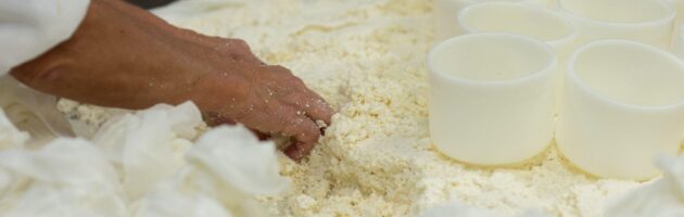 Queijo Serra da Estrela: três ingredientes, uma tradição