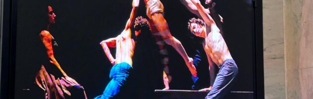 Amar Amália: peça teatral homenageia fadista portuguesa