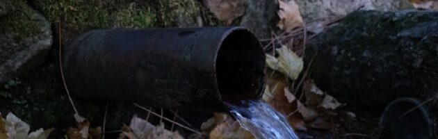 Iniciativa que nasce da sede…de mudar o mundo