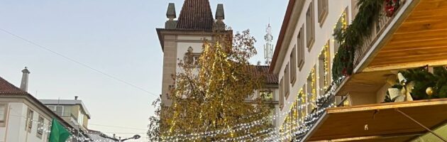 E assim ganha vida o Mercadinho de Natal da Covilhã